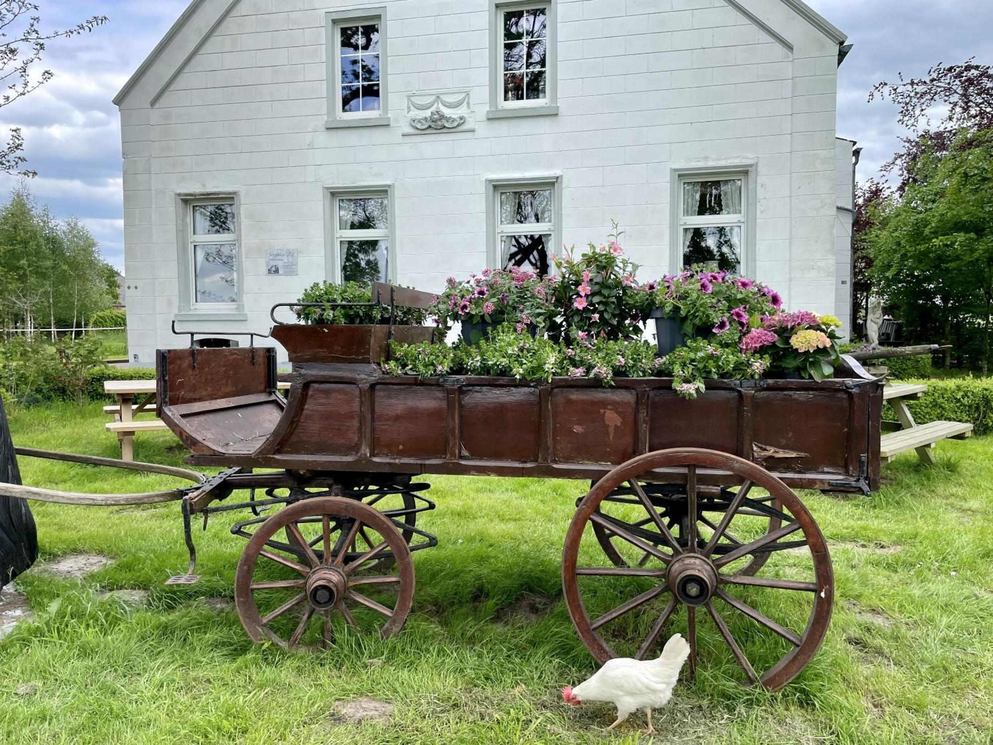 Steinhaus Hof Villa Bunde  Екстериор снимка